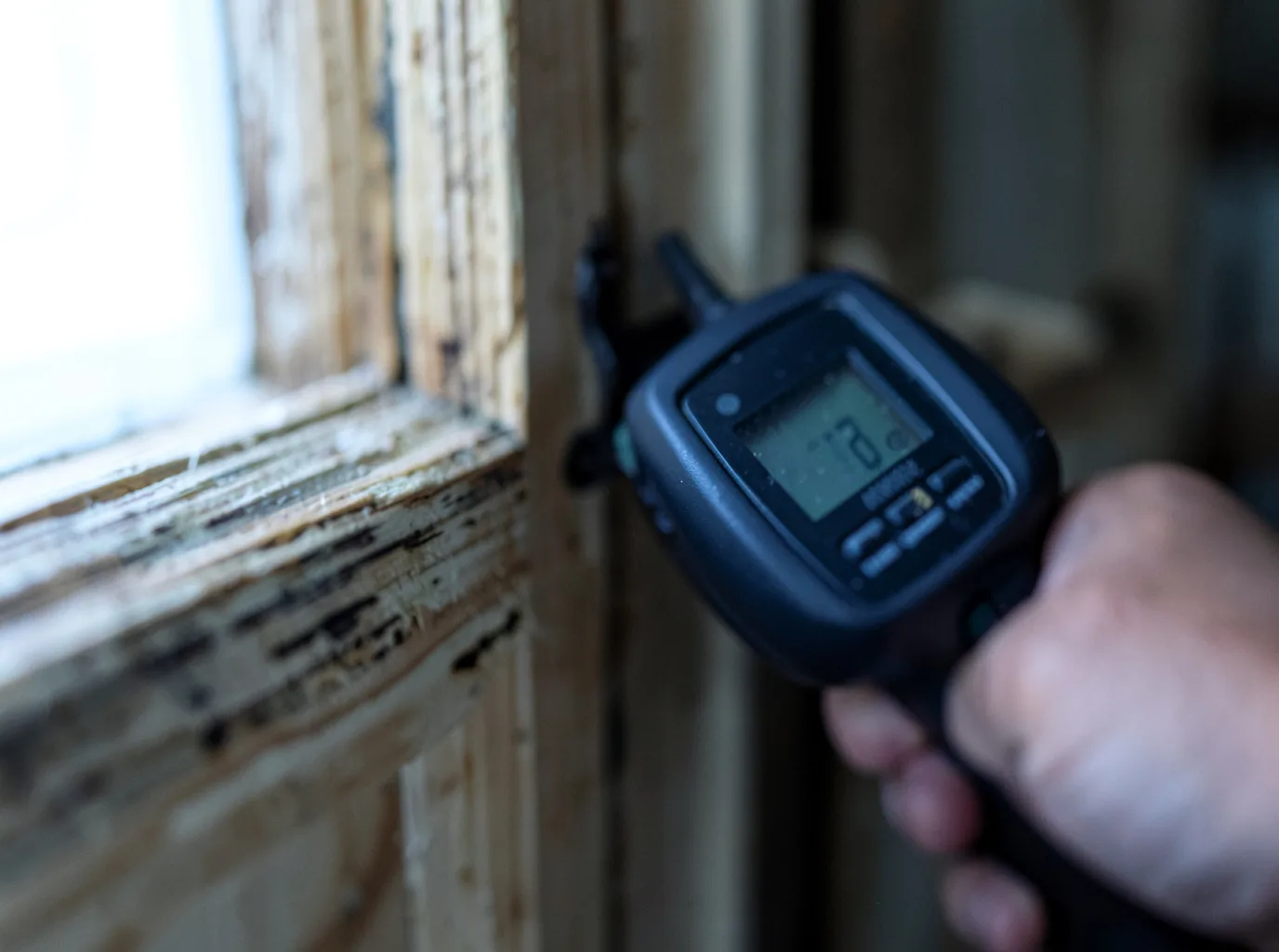 Ceiling Water Damage Repair in Ash Grove, MO